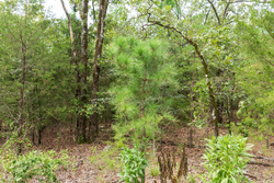property photo for Stone Bridge Phase V Tract 416, 4.76 acres for sale in LatimerHaskell County, Oklahoma