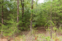 property photo for Stone Bridge Phase V Tract 416, 4.76 acres for sale in LatimerHaskell County, Oklahoma