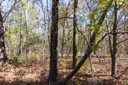 property photo for Stone Bridge Reserve Tract 10, 2.08 acres for sale in LatimerHaskell County, Oklahoma