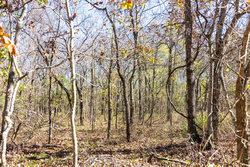 property photo for Stone Bridge Reserve Tract 10, 2.08 acres for sale in LatimerHaskell County, Oklahoma