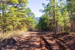 property photo for Stone Bridge Reserve Tract 15, 5.82 acres for sale in LatimerHaskell County, Oklahoma