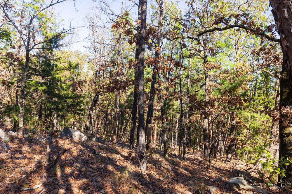 5.82 acre rural land tract for sale at Stone Bridge Reserve Tract 15 in LatimerHaskell County, Oklahoma