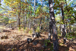 property photo for Stone Bridge Reserve Tract 16, 6.48 acres for sale in LatimerHaskell County, Oklahoma