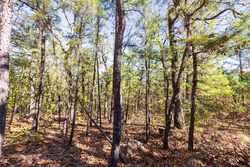 property photo for Stone Bridge Reserve Tract 16, 6.48 acres for sale in LatimerHaskell County, Oklahoma