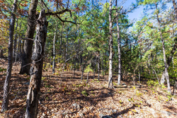 property photo for Stone Bridge Reserve Tract 16, 6.48 acres for sale in LatimerHaskell County, Oklahoma