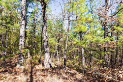 property photo for Stone Bridge Reserve Tract 16, 6.48 acres for sale in LatimerHaskell County, Oklahoma