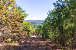 property photo for Stone Bridge Reserve Tract 16, 6.48 acres for sale in LatimerHaskell County, Oklahoma