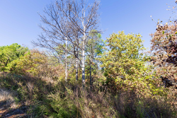 property photo for Stone Bridge Reserve Tract 16, 6.48 acres for sale in LatimerHaskell County, Oklahoma