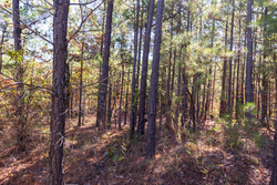 property photo for Stone Bridge Reserve Tract 23, 4.41 acres for sale in LatimerHaskell County, Oklahoma