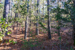 property photo for Stone Bridge Reserve Tract 26, 6.11 acres for sale in LatimerHaskell County, Oklahoma