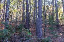 property photo for Stone Bridge Reserve Tract 26, 6.11 acres for sale in LatimerHaskell County, Oklahoma