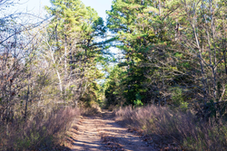 property photo for Stone Bridge Reserve Tract 26, 6.11 acres for sale in LatimerHaskell County, Oklahoma