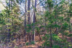 property photo for Stone Bridge Reserve Tract 26, 6.11 acres for sale in LatimerHaskell County, Oklahoma