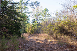 property photo for Stone Bridge Reserve Tract 26, 6.11 acres for sale in LatimerHaskell County, Oklahoma