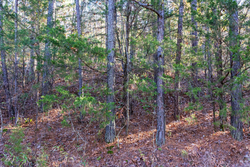 property photo for Stone Bridge Reserve Tract 26, 6.11 acres for sale in LatimerHaskell County, Oklahoma