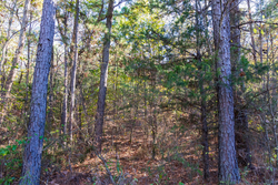 property photo for Stone Bridge Reserve Tract 26, 6.11 acres for sale in LatimerHaskell County, Oklahoma