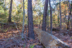 property photo for Stone Bridge Reserve Tract 26, 6.11 acres for sale in LatimerHaskell County, Oklahoma