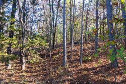 property photo for Stone Bridge Reserve Tract 26, 6.11 acres for sale in LatimerHaskell County, Oklahoma