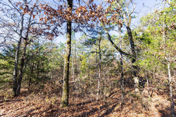 property photo for Stone Bridge Reserve Tract 27, 6.24 acres for sale in LatimerHaskell County, Oklahoma