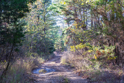 property photo for Stone Bridge Reserve Tract 27, 6.24 acres for sale in LatimerHaskell County, Oklahoma