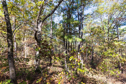 property photo for Stone Bridge Reserve Tract 28, 12.11 acres for sale in LatimerHaskell County, Oklahoma