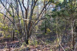 property photo for Stone Bridge Reserve Tract 28, 12.11 acres for sale in LatimerHaskell County, Oklahoma