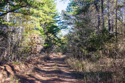 property photo for Stone Bridge Reserve Tract 28, 12.11 acres for sale in LatimerHaskell County, Oklahoma