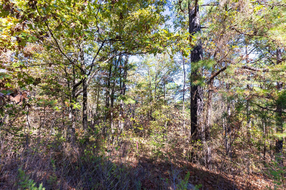 12.11 acre rural land tract for sale at Stone Bridge Reserve Tract 28 in LatimerHaskell County, Oklahoma
