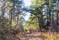 property photo for Stone Bridge Reserve Tract 29, 6.8 acres for sale in LatimerHaskell County, Oklahoma