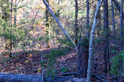 property photo for Stone Bridge Reserve Tract 29, 6.8 acres for sale in LatimerHaskell County, Oklahoma