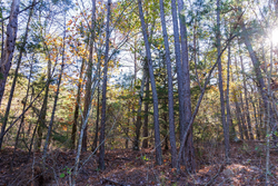 property photo for Stone Bridge Reserve Tract 29, 6.8 acres for sale in LatimerHaskell County, Oklahoma
