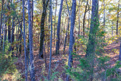 property photo for Stone Bridge Reserve Tract 31, 4.26 acres for sale in LatimerHaskell County, Oklahoma