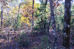 property photo for Stone Bridge Reserve Tract 31, 4.26 acres for sale in LatimerHaskell County, Oklahoma