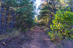property photo for Stone Bridge Reserve Tract 31, 4.26 acres for sale in LatimerHaskell County, Oklahoma