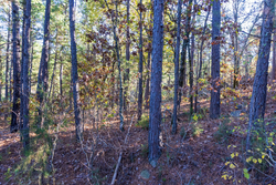 property photo for Stone Bridge Reserve Tract 31, 4.26 acres for sale in LatimerHaskell County, Oklahoma