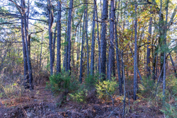 property photo for Stone Bridge Reserve Tract 31, 4.26 acres for sale in LatimerHaskell County, Oklahoma