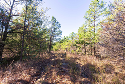 property photo for Stone Bridge Reserve Tract 4, 8.2 acres for sale in LatimerHaskell County, Oklahoma