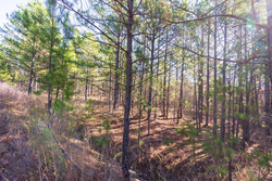 property photo for Stone Bridge Reserve Tract 4, 8.2 acres for sale in LatimerHaskell County, Oklahoma