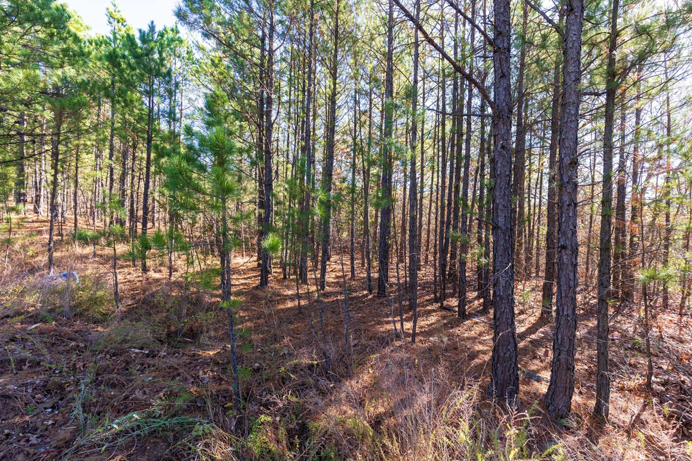 8.2 acre rural land tract for sale at Stone Bridge Reserve Tract 4 in LatimerHaskell County, Oklahoma