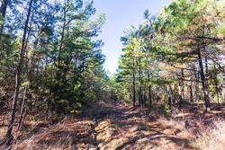 property photo for Stone Bridge Reserve Tract 5, 4.5 acres for sale in LatimerHaskell County, Oklahoma