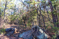 property photo for Stone Bridge Reserve Tract 5, 4.5 acres for sale in LatimerHaskell County, Oklahoma