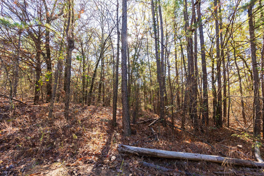 4.5 acre rural land tract for sale at Stone Bridge Reserve Tract 5 in LatimerHaskell County, Oklahoma
