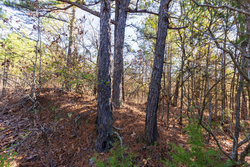 property photo for Stone Bridge Reserve Tract 6, 8.7 acres for sale in LatimerHaskell County, Oklahoma
