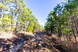 property photo for Stone Bridge Reserve Tract 6, 8.7 acres for sale in LatimerHaskell County, Oklahoma