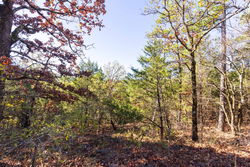 property photo for Stone Bridge Reserve Tract 7, 3.89 acres for sale in LatimerHaskell County, Oklahoma