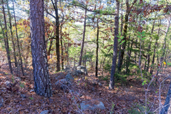 property photo for Stone Bridge Reserve Tract 7, 3.89 acres for sale in LatimerHaskell County, Oklahoma