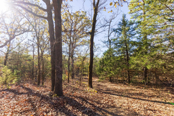 property photo for Stone Bridge Reserve Tract 7, 3.89 acres for sale in LatimerHaskell County, Oklahoma