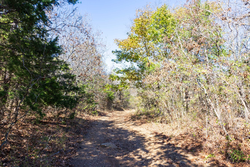property photo for Stone Bridge Reserve Tract 8, 6.55 acres for sale in LatimerHaskell County, Oklahoma