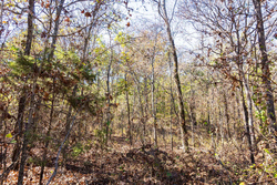 property photo for Stone Bridge Reserve Tract 8, 6.55 acres for sale in LatimerHaskell County, Oklahoma