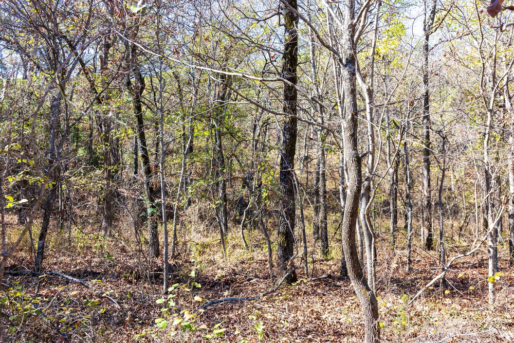 6.55 acre rural land tract for sale at Stone Bridge Reserve Tract 8 in LatimerHaskell County, Oklahoma